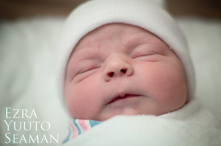 IMGP7131_Snapseed copy2