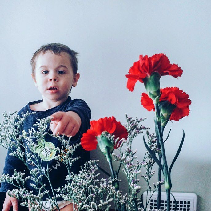 micah-dont-touch-mommys-flowers--thirteen-years-in-a-row-of-getting-sarah23marie-three-red-carnations--aksarbenliving-micahmasato-valentinesday-carnations-tradition_24740743040_o.jpg