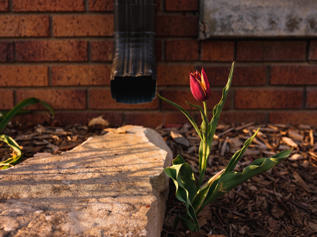 Motivations of Photos &&nbsp;Poems