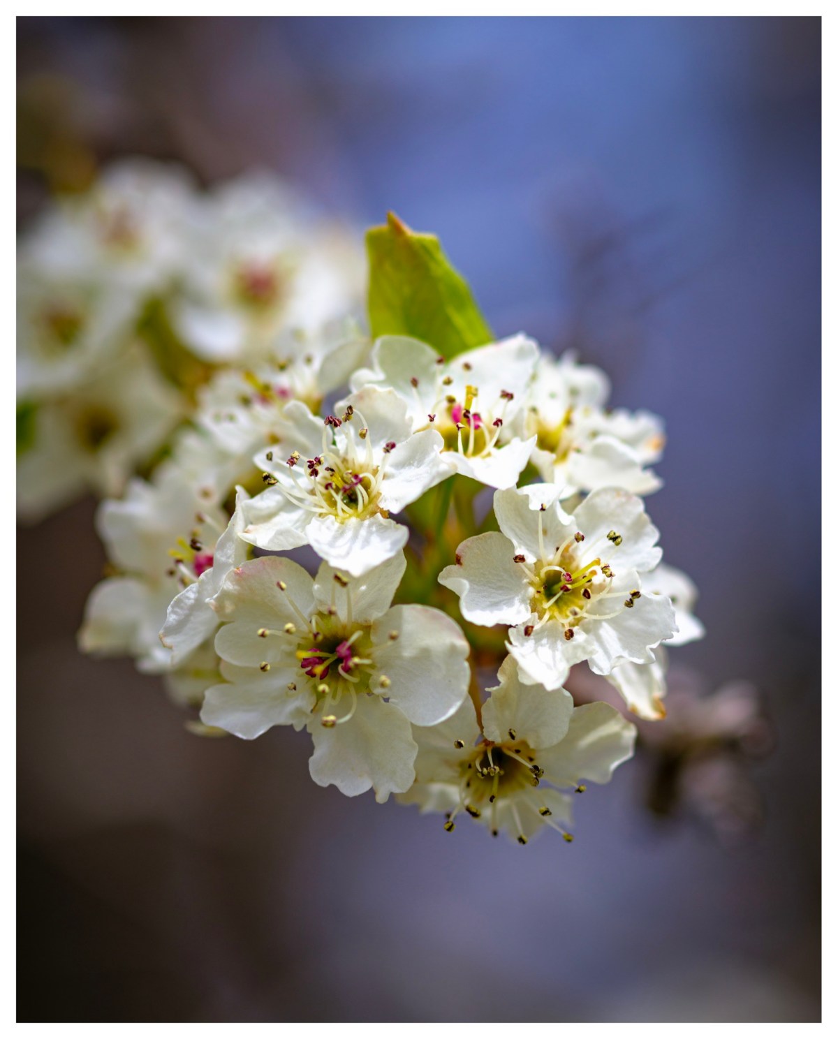 I can’t shake it, can’t figure it&nbsp;out