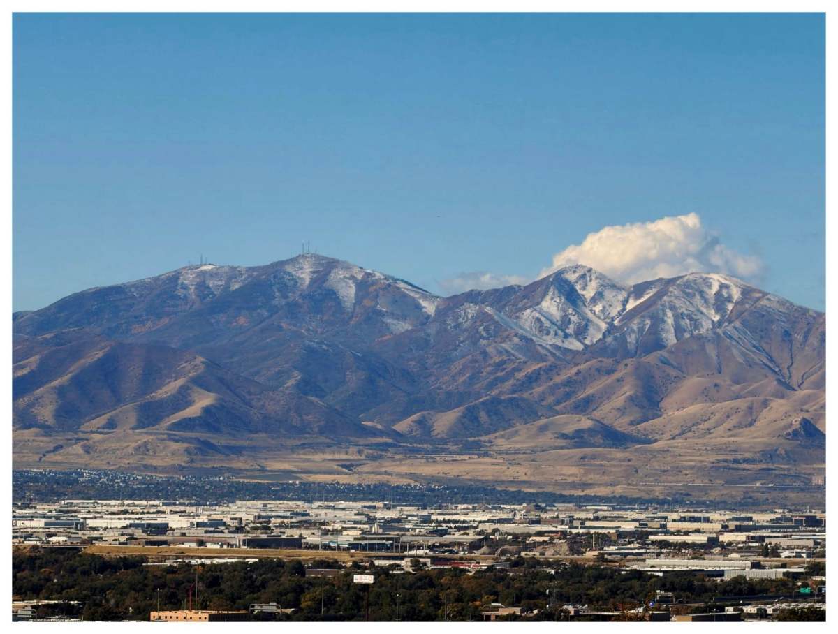 A Wild and Precious&nbsp;Lifestyle