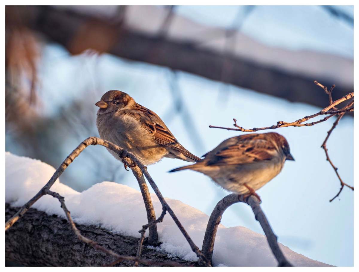 Approaching 2026 Differently